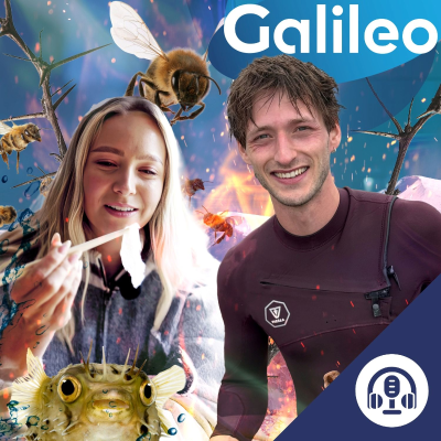 episode Tarantel-Therapie und halluzinogener Honig artwork