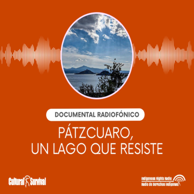 episode Pátzcuaro, un lago que resiste artwork