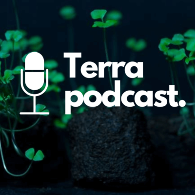 Terrabayt Sohbetleri