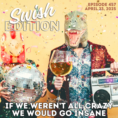 episode If We Weren’t All Crazy We Would Go Insane artwork