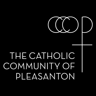 episode Fr. Brandon Macadaeg: Homily - June 30, 2025 - Our Mission artwork