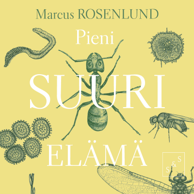 Pieni suuri elämä