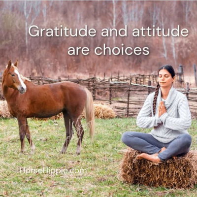 episode Thanksgiving Attitude artwork