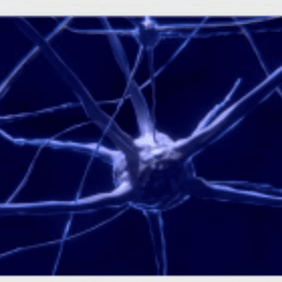 episode SISTEMA NERVIOSO. LA NEURONA artwork