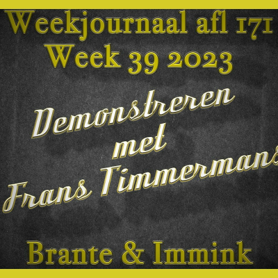 episode Demonstreren Met Frans Timmermans artwork