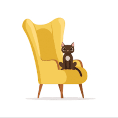 episode Romance de Don Gato artwork