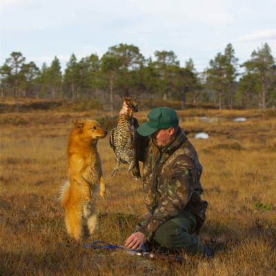 episode Skogsfugljakt med Roy Vebjørn Kveliaunet artwork