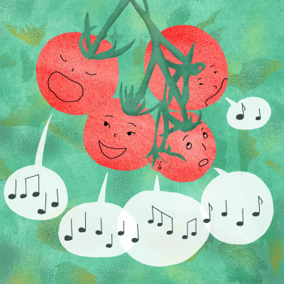 episode 🍅 Le chant des tomates artwork