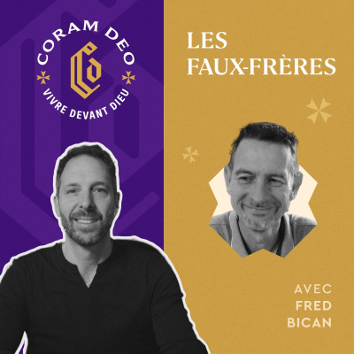 episode # 369 - Les faux-frères artwork