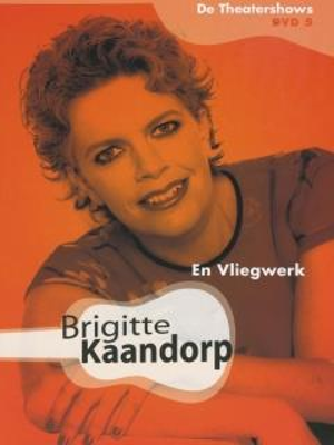 En vliegwerk