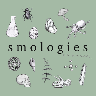 episode Smologies #43: CICADAS with Gene Kritsky artwork