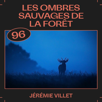 episode #96 — Les ombres sauvages de la forêt, avec Jérémie Villet artwork