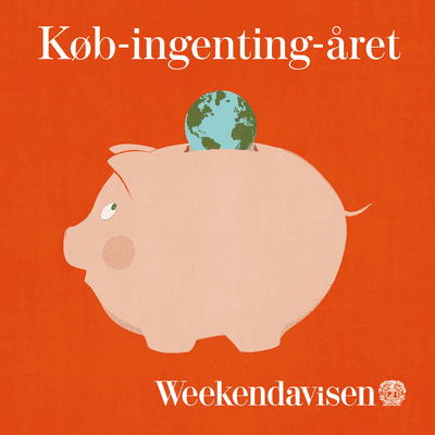 Køb-ingenting-året