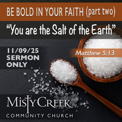 episode 11/09/25 Sermon: "You are the Salt of the Earth" (Be Bold in Your Faith, Part 2) artwork