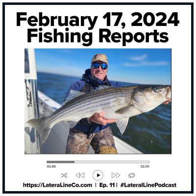 episode Fishing Reports: East Coast and Chesapeake Bay Saltwater Fishing Reports updated February 17, 2024 artwork