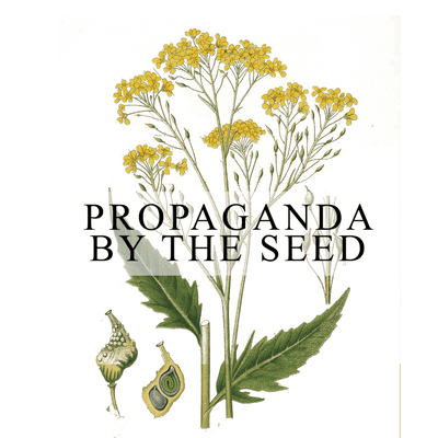 episode Important!!! Subscribe To The New Propaganda By The Seed Feed! Its No Longer on Solecast! We Just Dropped 1st Episode of Season 2 artwork