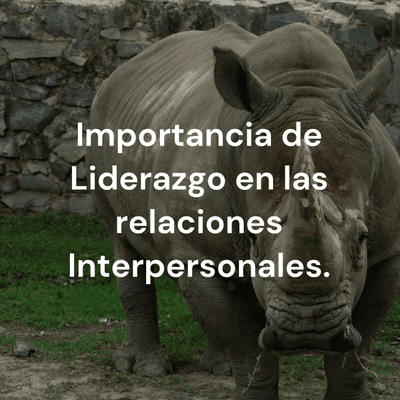 Importancia de Liderazgo en las relaciones Interpersonales.