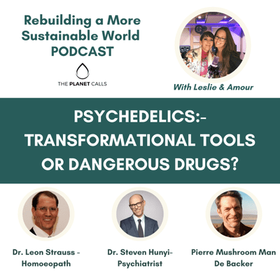 episode PSYCHEDELICS - Transformational Tools or Dangerous Drugs? artwork