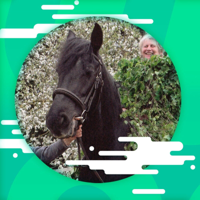 episode Das Laubmännchen artwork