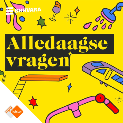 Alledaagse Vragen