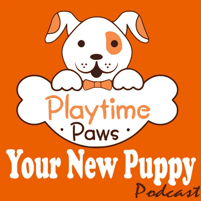 Your New Puppy: Dog Training and Dog Behavior Lessons to Help You Turn Your New
Puppy into a Well-Behaved Dog