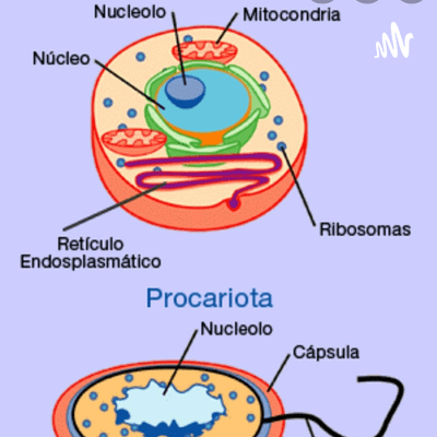 Introduccion De La Cedula