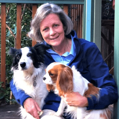 episode Veterinary Neurologist Dr Georgina Child explains back pain in pets artwork