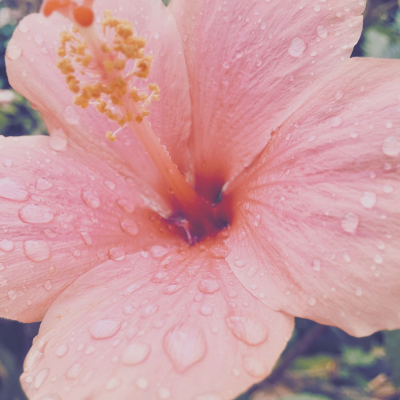 episode Épisode 152 | Méditation des 5 sens – Renouer avec la présence au quotidien artwork