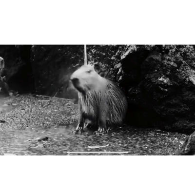 episode #116: Birra Metafísica (ou Holy Capivara) artwork