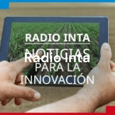 Radio Inta: Noticias para la innovasión.
