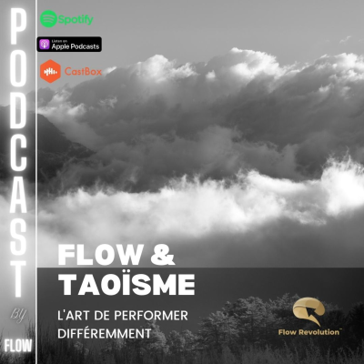 episode FLOW & TAOISME : L'ART DE PERFORMER DIFFÉREMMENT. artwork