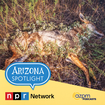 episode The art of "Kindred Spirits: Honoring Animals in Death" artwork
