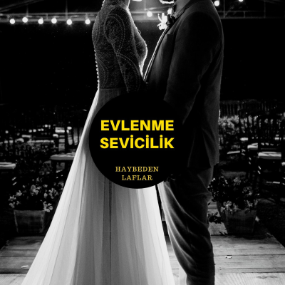 episode Bölüm 9 "Evlenme Sevicilik" artwork