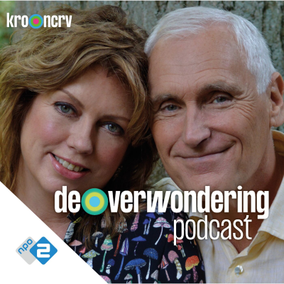 episode Arthur Japin over het wonder van de liefde artwork