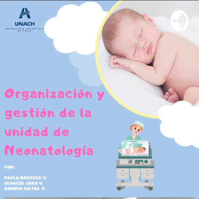 Organización y gestión de la unidad de Neonatología