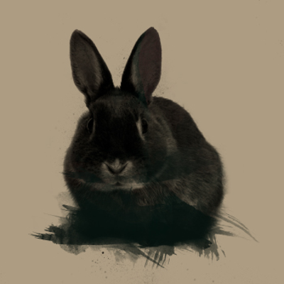 T02E37 - Un simple conejo negro