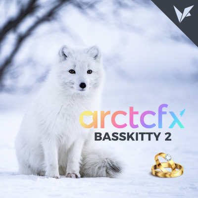 episode BassKitty 2 Engagement Set artwork