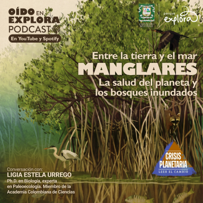 episode Manglares y crisis planetaria: con la paleoecóloga Ligia Urrego artwork