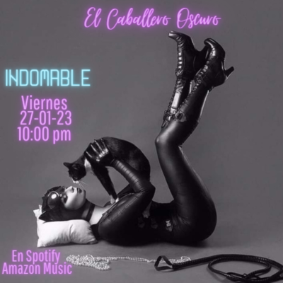 episode Indomable artwork