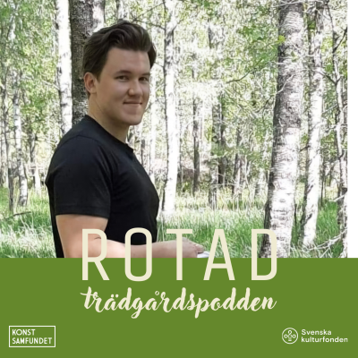 episode Äng à la Torgny artwork