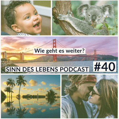episode #40 Wie geht es weiter? Rückblick und Ausblick | Sinn des Lebens Podcast artwork