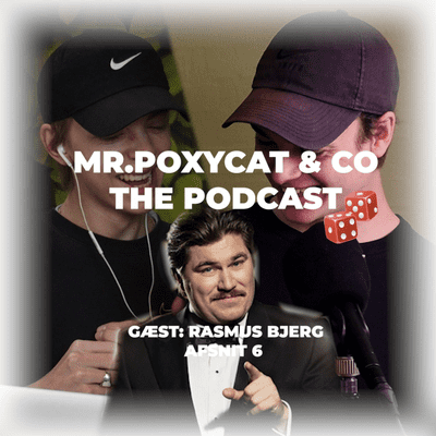 episode Mr. Poxycat & Co. The Podcast #6 artwork