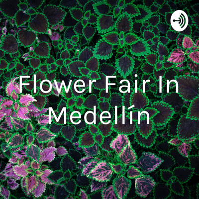 Flower fair in Medellín