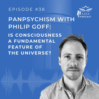 episode Episode #38 (EN): Panpsychism with Philip Goff: Is Consciousness a Fundamental Feature of the Universe? artwork