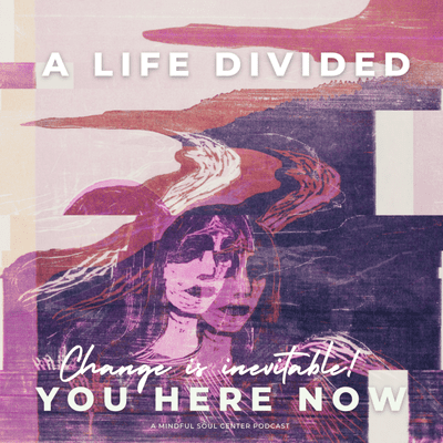 episode A Life Divided artwork