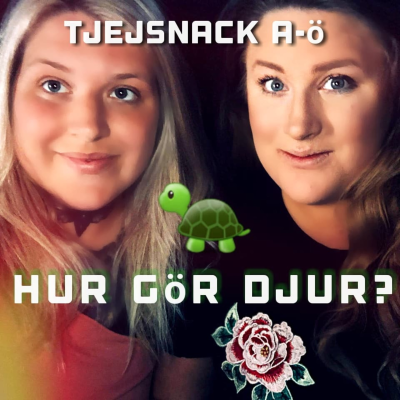 episode Hur gör djur artwork