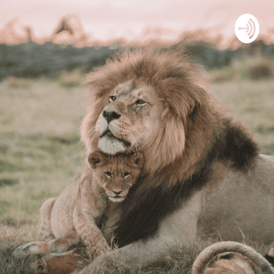 Los leones