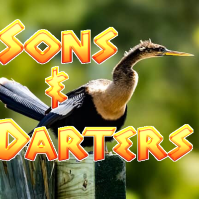 episode Episode 76: Sons and Darters: The Four Darter/Anhinga Species artwork
