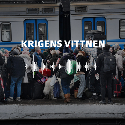 episode Krigens vittnen artwork