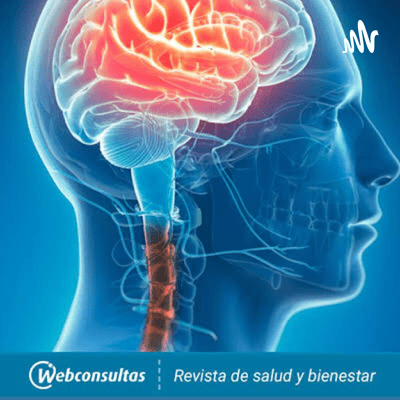 Anatomía del cabeza y cuello